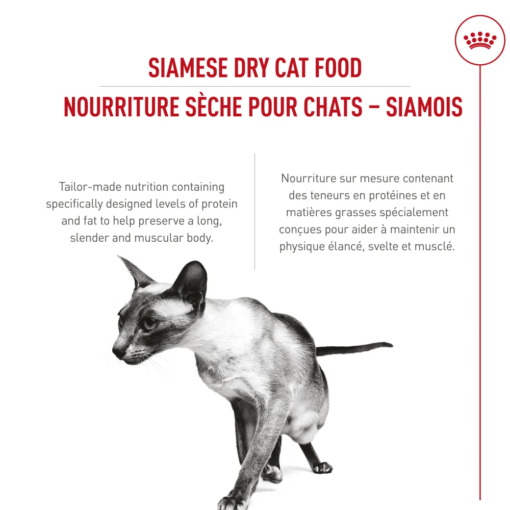 Best Feline Breed Nutrition Siamese Adult Dry Cat Food Dry Food Dry Cat Food