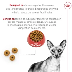 Best Feline Breed Nutrition Siamese Adult Dry Cat Food Dry Food Dry Cat Food