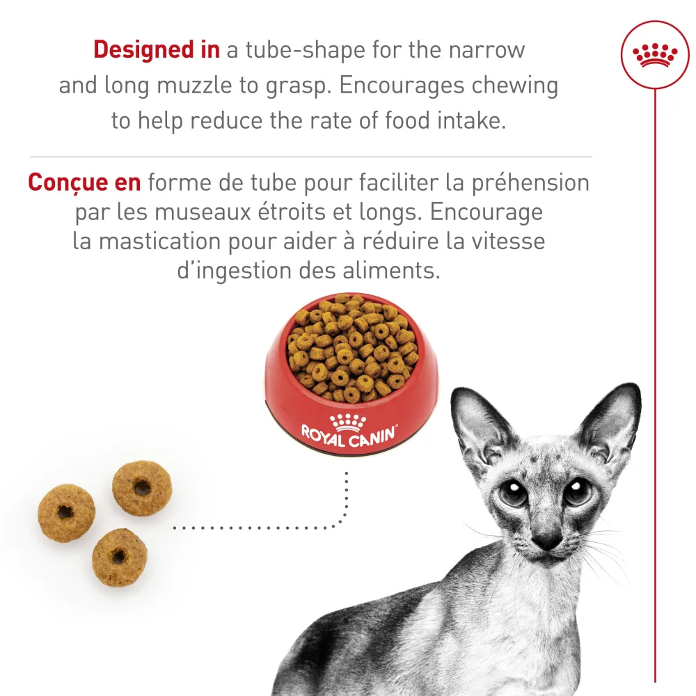Best Feline Breed Nutrition Siamese Adult Dry Cat Food Dry Food Dry Cat Food