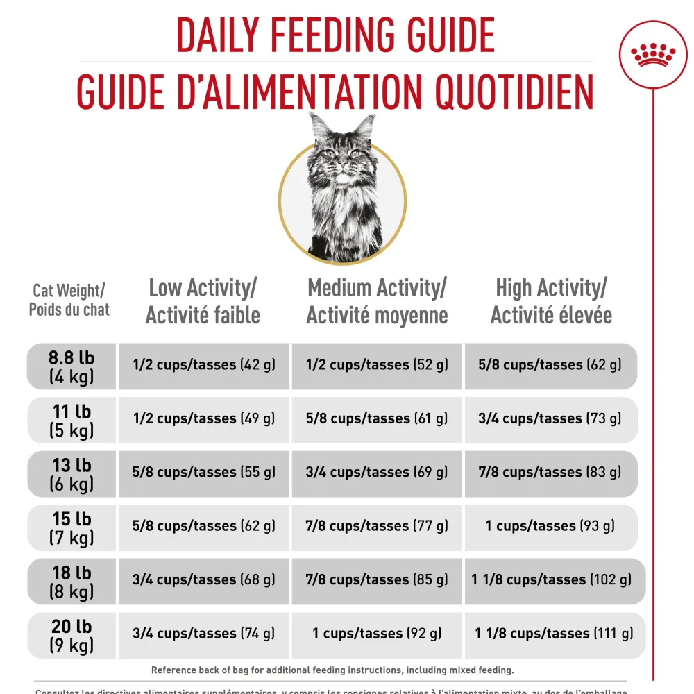 Sale ® Feline Breed Nutrition™ Maine Coon Dry Cat Food Dry Food Dry Cat Food