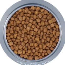 New Feline Breed Nutrition Persian Dry Kitten Food Dry Food Dry Cat Food