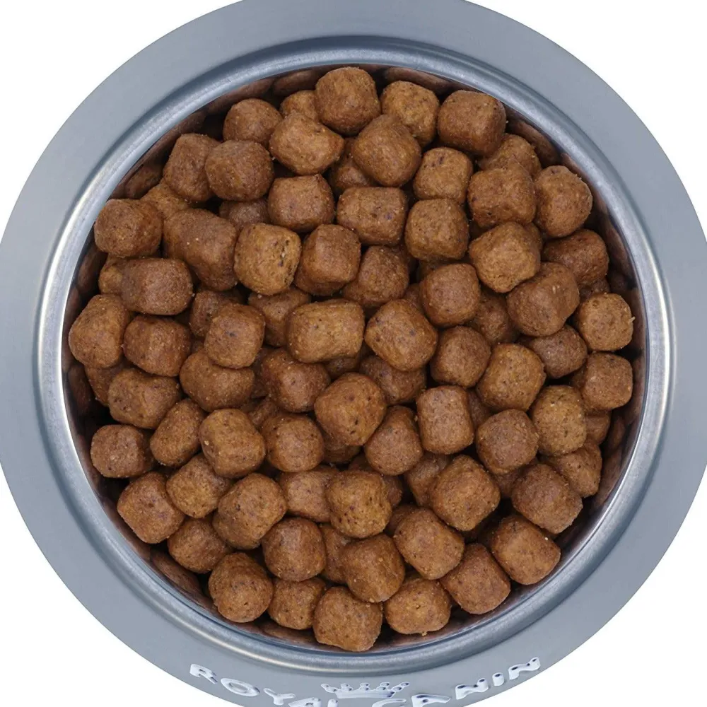 Sale ® Feline Breed Nutrition™ Maine Coon Dry Cat Food Dry Food Dry Cat Food