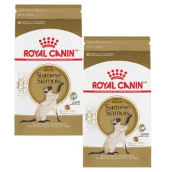 Best Feline Breed Nutrition Siamese Adult Dry Cat Food Dry Food Dry Cat Food