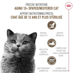 New Feline Care Nutrition Spayed/Neutered Aging 12+ Dry Cat Food Dry Food Dry Cat Food