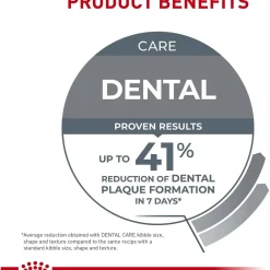 Clearance Feline Care Nutrition Dental Care Dry Cat Food Dry Food Dry Cat Food