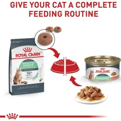 Best ® Feline Care Nutrition™ Digestive Care Dry Cat Food Dry Food Dry Cat Food