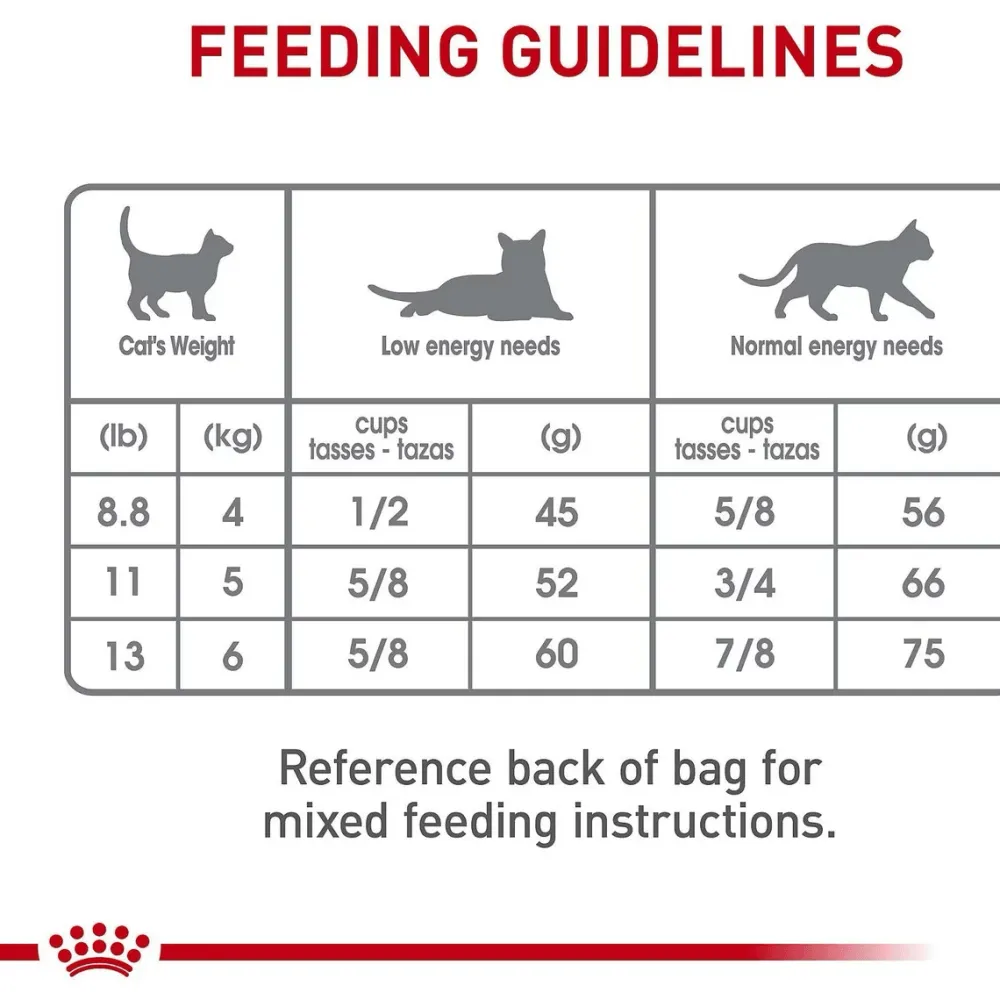 Clearance Feline Care Nutrition Dental Care Dry Cat Food Dry Food Dry Cat Food