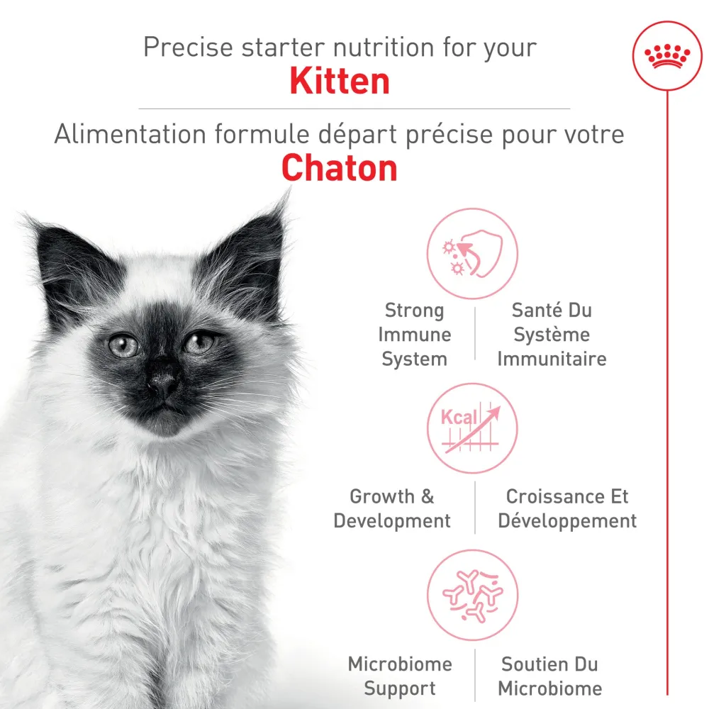 Sale ® Feline Health Nutrition™ Kitten Dry Cat Food Dry Food Dry Cat Food