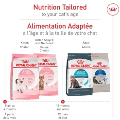 Sale ® Feline Health Nutrition™ Kitten Dry Cat Food Dry Food Dry Cat Food