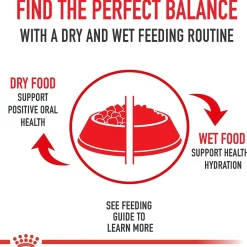 Clearance ® Feline Health Nutrition™ Sensitive Digestion Dry Adult Cat Food Dry Food Dry Cat Food