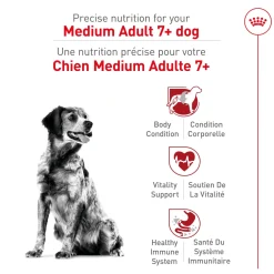 Sale Health Nutrition Medium Adult 7+ Dry Dog Food Food Dry, Wet, Freeze Dried, Etc.
