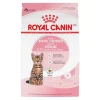 Sale Kitten Food Spay & Neutered Dry Food Dry Cat Food