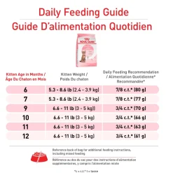 Sale Kitten Food Spay & Neutered Dry Food Dry Cat Food