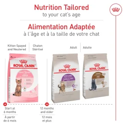 Sale Kitten Food Spay & Neutered Dry Food Dry Cat Food