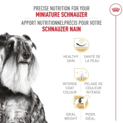 Hot Miniature Schnauzer Adult Dry Dog Food Food Dry, Wet, Freeze Dried, Etc.
