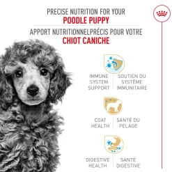 Best Poodle Puppy Food Food Dry, Wet, Freeze Dried, Etc.