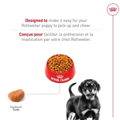 Best Rottweiler Puppy Food Food Dry, Wet, Freeze Dried, Etc.