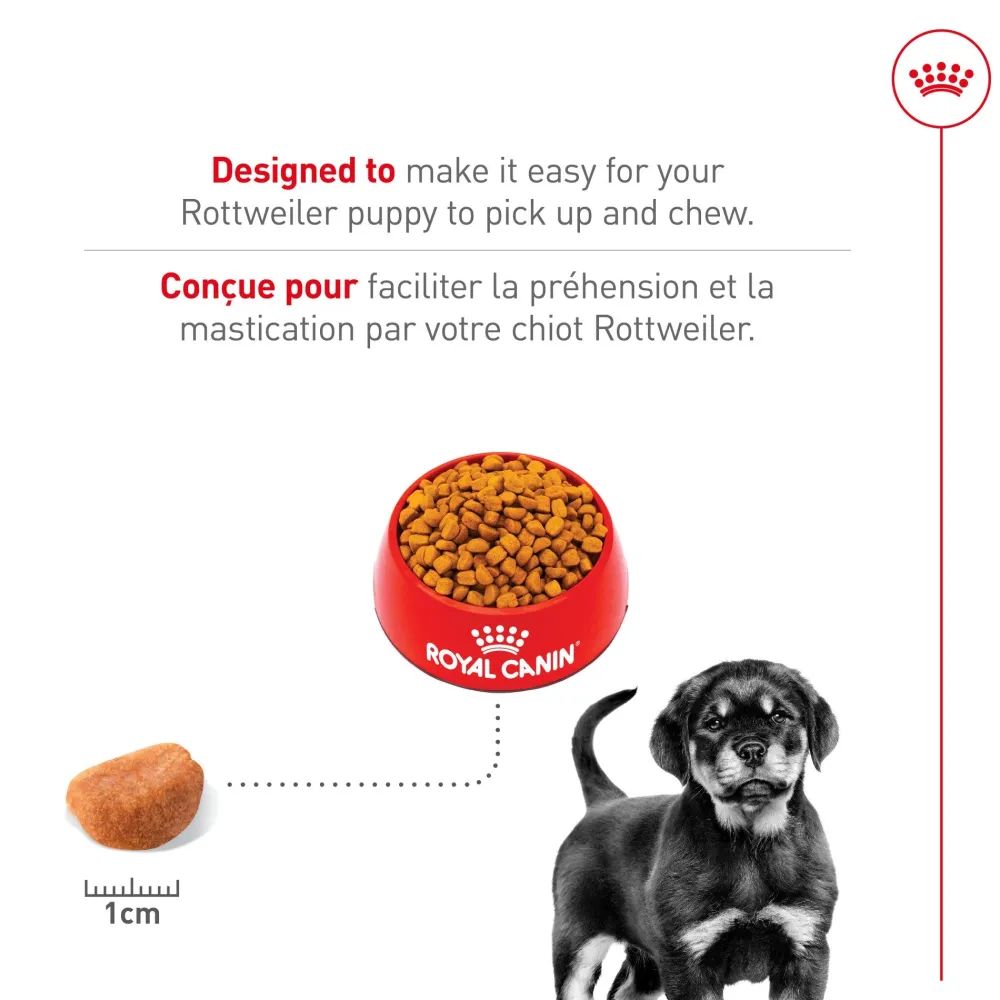 Best Rottweiler Puppy Food Food Dry, Wet, Freeze Dried, Etc.