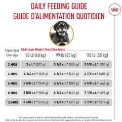 Best Rottweiler Puppy Food Food Dry, Wet, Freeze Dried, Etc.