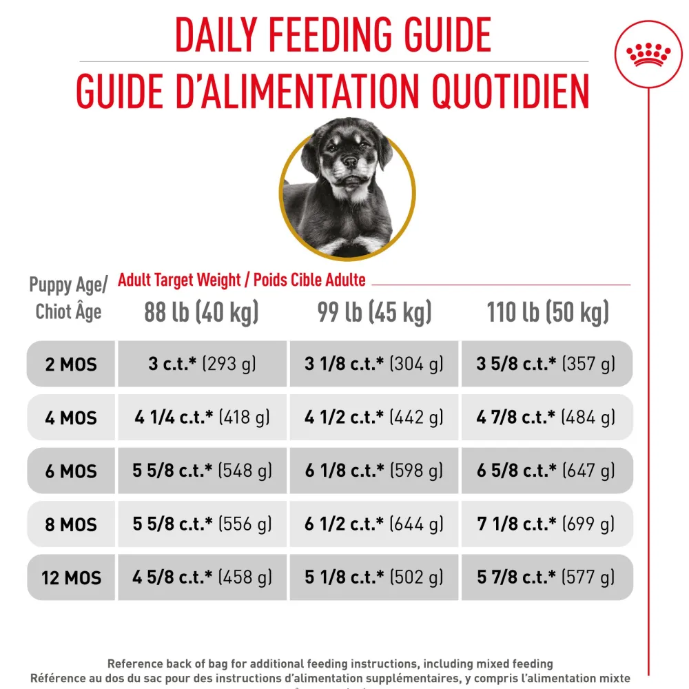 Best Rottweiler Puppy Food Food Dry, Wet, Freeze Dried, Etc.