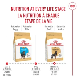 Best Rottweiler Puppy Food Food Dry, Wet, Freeze Dried, Etc.