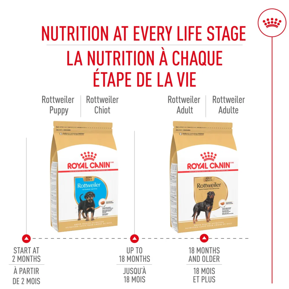 Best Rottweiler Puppy Food Food Dry, Wet, Freeze Dried, Etc.