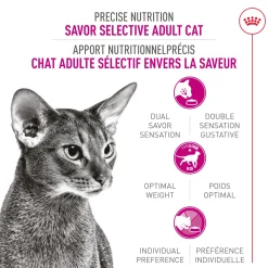 Best Savor Selective Dry Adult Cat Food Dry Food Dry Cat Food