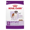 Clearance ® Size Health Nutrition™ Giant Adult Dry Dog Food Food Dry, Wet, Freeze Dried, Etc.