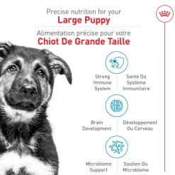 Clearance ® Size Health Nutrition™ Large Puppy Dry Dog Food Food Dry, Wet, Freeze Dried, Etc.