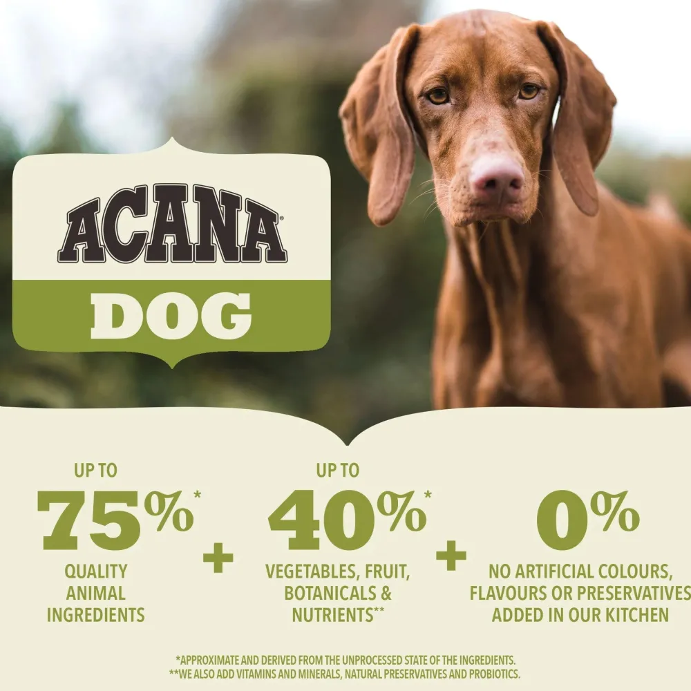 Sale Royal Canin® Size Health Nutrition™ X-Small Puppy Dry Puppy Food Food Dry, Wet, Freeze Dried, Etc.