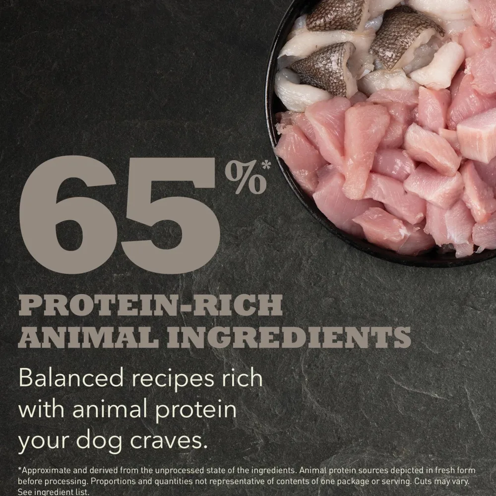 Sale Royal Canin® Size Health Nutrition™ X-Small Puppy Dry Puppy Food Food Dry, Wet, Freeze Dried, Etc.