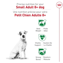 Outlet Small Mature 8+ Dog Food Food Dry, Wet, Freeze Dried, Etc.
