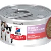 Discount Kitten Canned Sensitive Stomach & Skin Salmon & Vegetable Stew Wet Food Cans, Pouches, Tetra Paks, Etc.