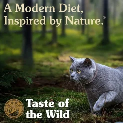 Best Cat Food Canyon River Dry Food Dry Cat Food