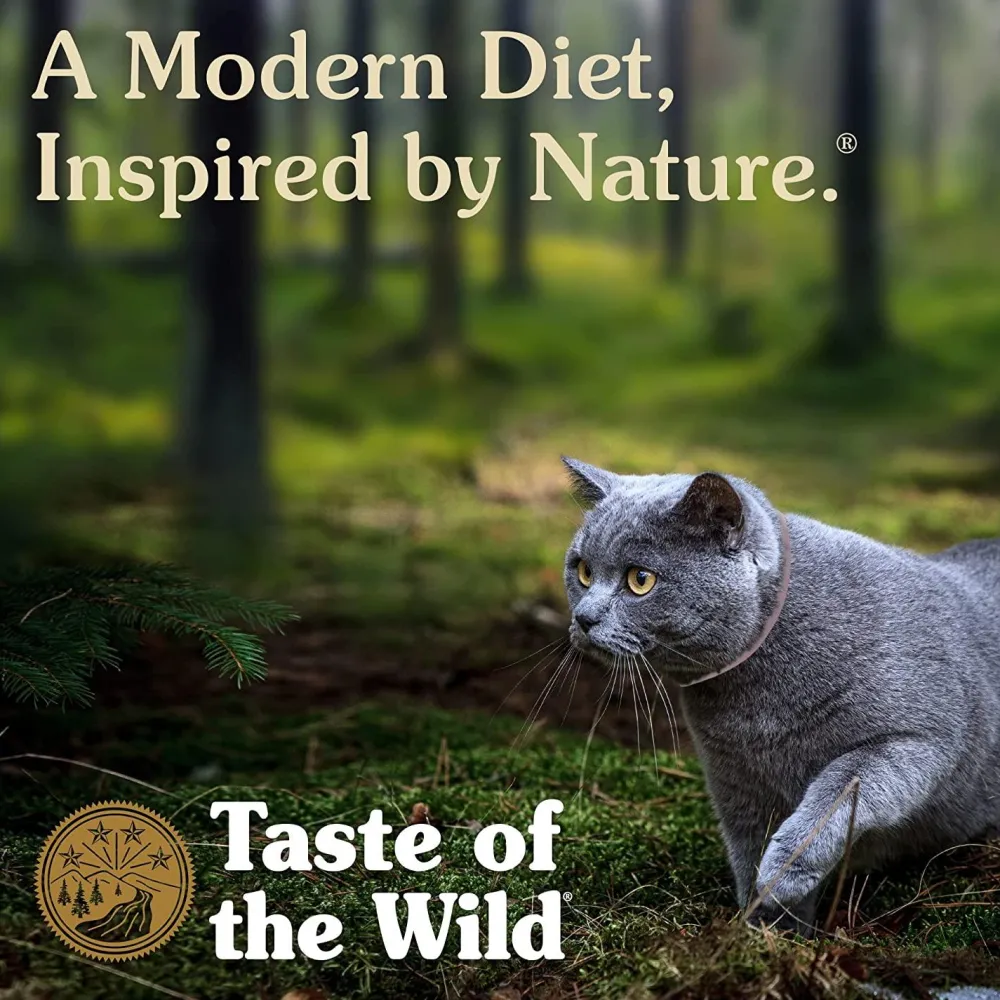 Best Cat Food Canyon River Dry Food Dry Cat Food