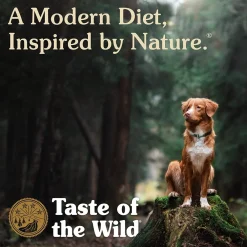 Outlet Dog Food Wetland Wild Fowl Food Dry, Wet, Freeze Dried, Etc.