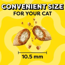 Hot Classic Tempting Tuna Flavor Soft & Crunchy Cat Treats Treats Crunchy, Soft, Lickable, Etc.