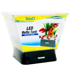 Online Betta LED Tank Aquarium Kit 1 Gallon Shop Fish Find All Of The Essentials