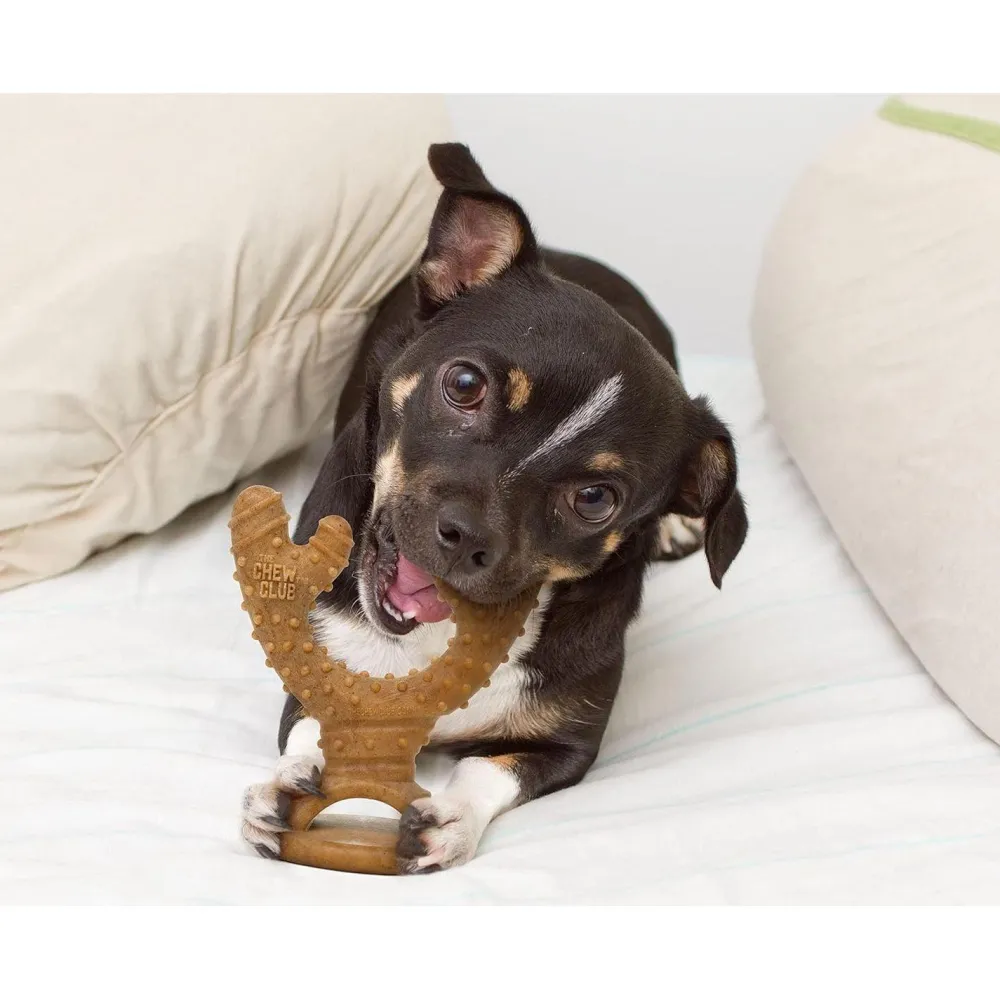 Best The Chew Club Dog Chew Nylon & Bamboo Chew Antler Supplies Leashes, Collars, Beds, Flea & Tick, Etc. | Toys Interactive, Plush, Etc.