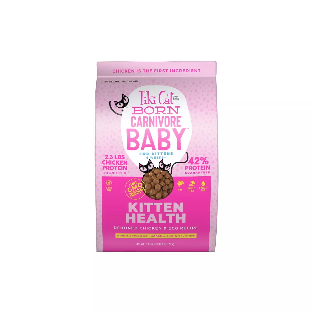 Outlet Born Carnivore High Protein Kitten Chicken & Egg Dry Food Dry Cat Food