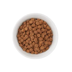 Hot Born Carnivore High Protein Chicken & Egg Dry Food Dry Cat Food