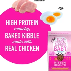 Outlet Born Carnivore High Protein Kitten Chicken & Egg Dry Food Dry Cat Food