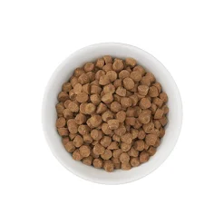 New Born Carnivore High Protein Herring & Salmon Dry Food Dry Cat Food