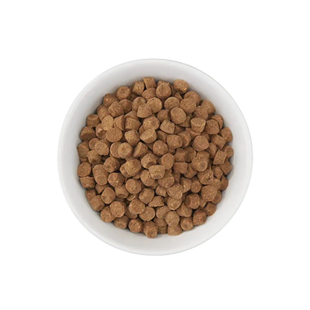 New Born Carnivore High Protein Herring & Salmon Dry Food Dry Cat Food