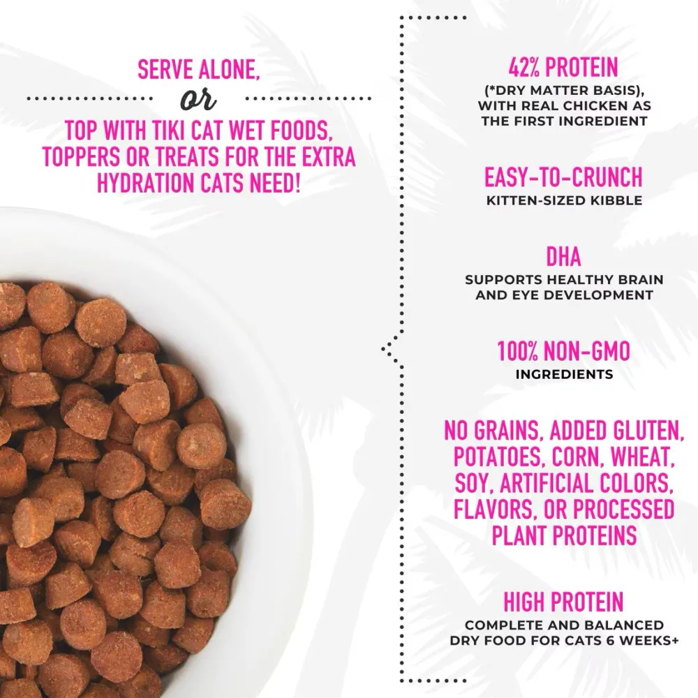 Outlet Born Carnivore High Protein Kitten Chicken & Egg Dry Food Dry Cat Food