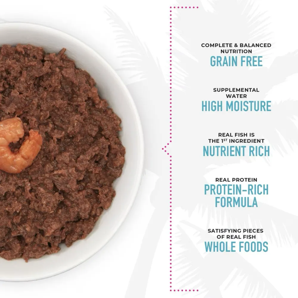 Clearance Can Ahi Tuna & Prawns Recipe In Broth Wet Food Cans, Pouches, Tetra Paks, Etc.