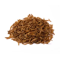 Sale Wild Bird Dried Mealworms Shop Bird Find All Of The Essentials