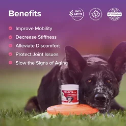 Fashion Joint H.A. Maximum Strength Formula Supplies Leashes, Collars, Beds, Flea & Tick, Etc.
