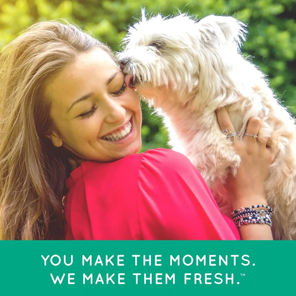 Fashion Fresh Breath Plaque Remover Pet Clean Teeth Gel Supplies Leashes, Collars, Beds, Flea & Tick, Etc.