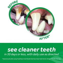 Fashion Fresh Breath Plaque Remover Pet Clean Teeth Gel Supplies Leashes, Collars, Beds, Flea & Tick, Etc.